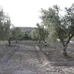 Calatrue - * Tabernas